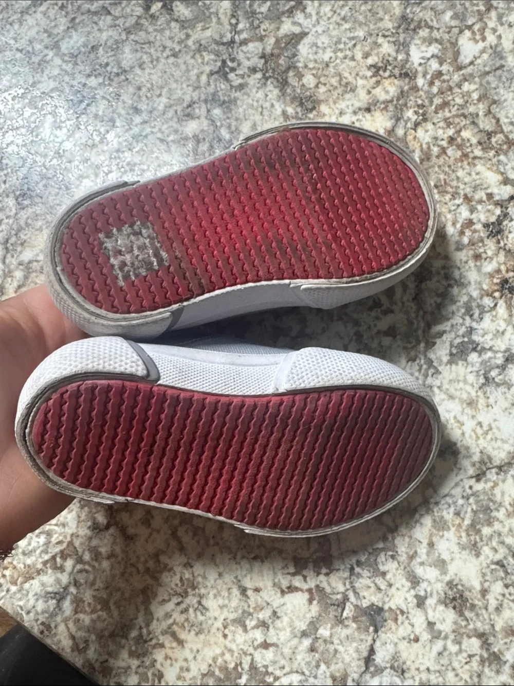 Sperry Kids Grey Canvas Sneakers with Red Trim